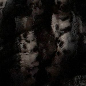 Meet your Posher, Skylar